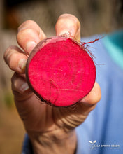 Load image into Gallery viewer, Solids and Stripes Beet Mix Seeds
