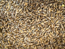 Load image into Gallery viewer, Emmer Wheat Seeds