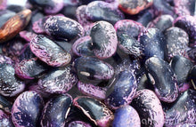 Load image into Gallery viewer, Scarlet Runner Bean Seeds