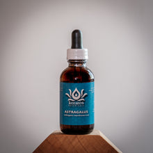 Load image into Gallery viewer, Tincture: Astragalus/Huang Qi (Astragalus membranaceus) - 50ml