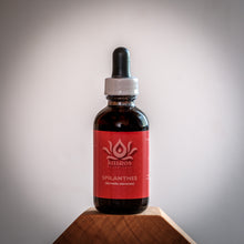 Load image into Gallery viewer, NEW! Tincture: Spilanthes (Acmella oleracea) - 50ml