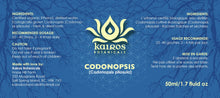 Load image into Gallery viewer, Tincture: Codonopsis (Codonopsis pilosula Campanulaceae) - 50ml