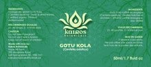 Load image into Gallery viewer, Tincture: Gotu Kola (Centalla asiatica) - 50ml