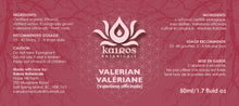 Load image into Gallery viewer, Tincture: Valerian (Valeriana officinalis Caprifoliaceae) - 50ml
