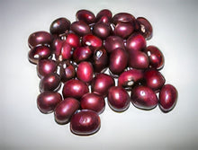 Load image into Gallery viewer, True Red Cranberry Pole Bean Seeds
