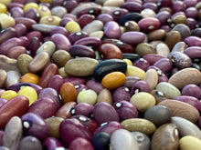Load image into Gallery viewer, Ugandan Bantu Pole Bean Seeds