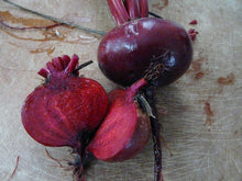 Load image into Gallery viewer, A Community Seed Kit 2026