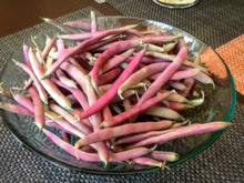 Load image into Gallery viewer, Tanya's Pink Pod Bush Snap Bean Seeds