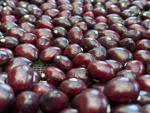 Load image into Gallery viewer, True Red Cranberry Pole Bean Seeds