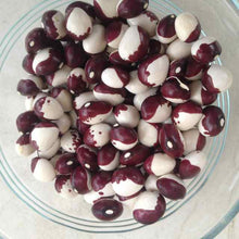 Load image into Gallery viewer, Annie Jackson Pole Bean Seeds