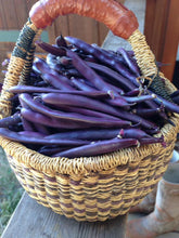 Load image into Gallery viewer, Blooming Prairie Bush Snap Bean Seeds