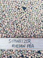 Load image into Gallery viewer, Swiss Giant Snow Pea Seeds