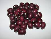 Load image into Gallery viewer, True Red Cranberry