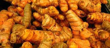 Load image into Gallery viewer, Tincture: Turmeric (Curcuma longa) - 50ml