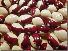Load image into Gallery viewer, Annie Jackson Pole Bean Seeds