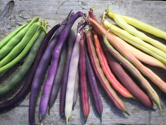 Local Food Security Rooted In Island Growers