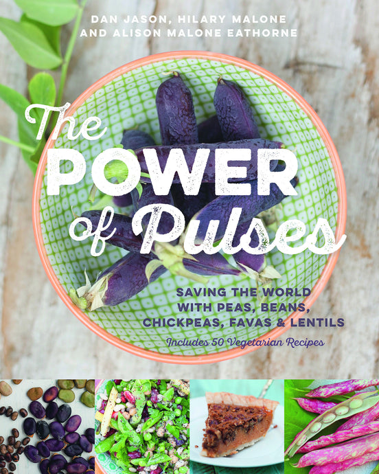 Foreword to The Power of Pulses
