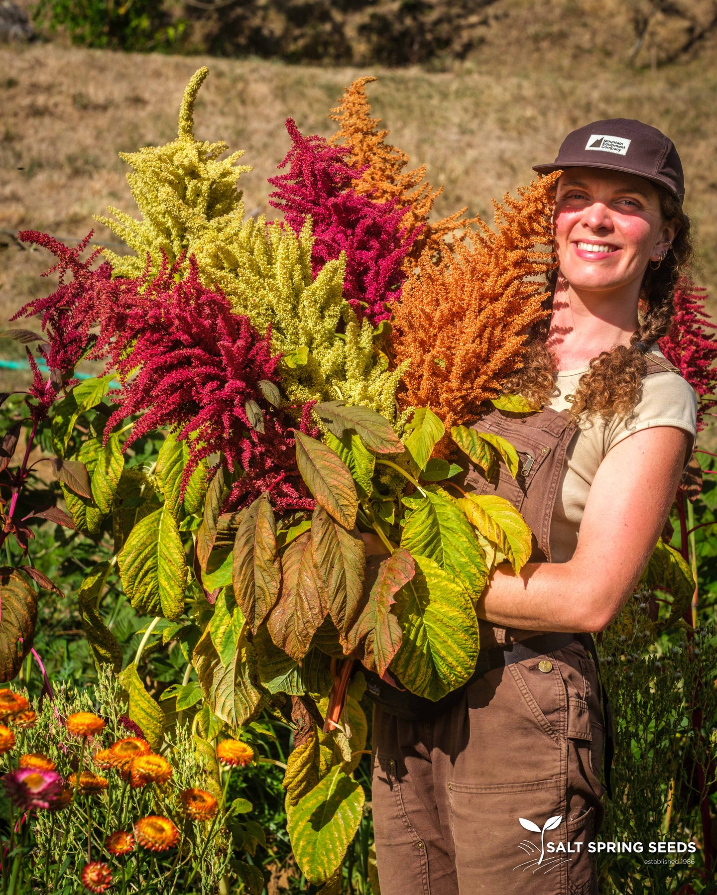 Amaranth Mix