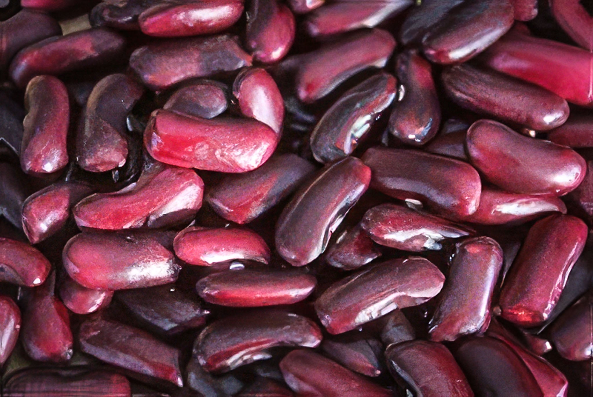 Red Kidney Beans Come From