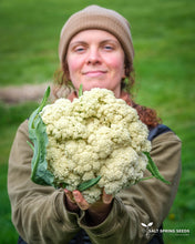 Load image into Gallery viewer, Galleon Cauliflower Seeds
