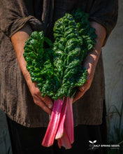 Load image into Gallery viewer, Peppermint Chard Seeds
