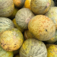 Gnadenfeld Muskmelon Seeds