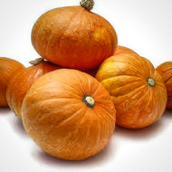 Gold Nugget Winter Squash Seeds