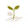 Canadian-Grown Heirloom Seeds Since 1986 logo