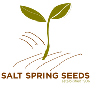 Salt Spring Seeds