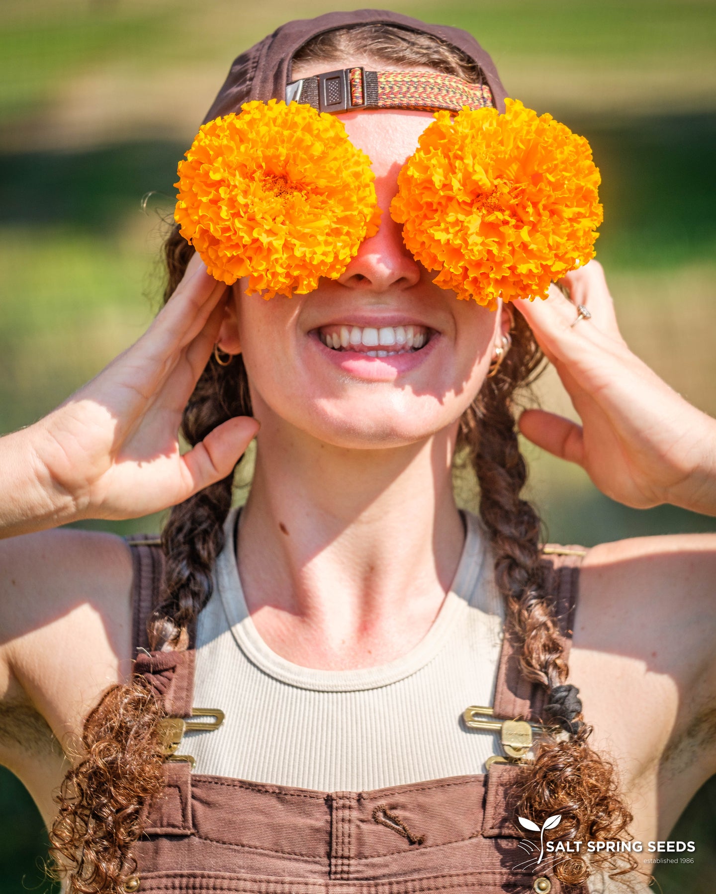 Marigold Orange Hawaii (Tagetes erecta)