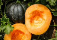 Noir des Carmes Melon Seeds