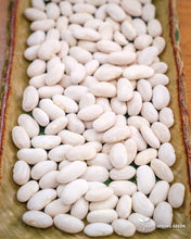 Load image into Gallery viewer, Pisterzo Pole Bean

