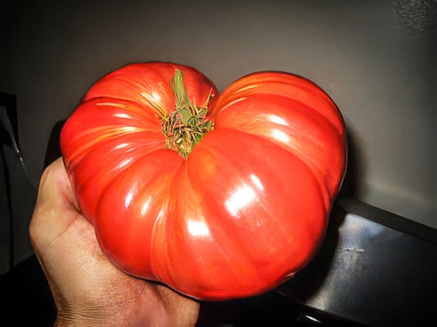 Sicilian Saucer Beefsteak Tomato Seeds, Organic - Canada