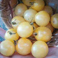Snow White Cherry Tomato Seeds