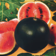 Sugar Baby Watermelon Seeds