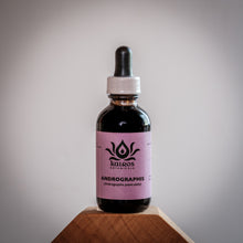 Load image into Gallery viewer, NEW! Tincture: Andrographis (Andrographis paniculata) - 50ml
