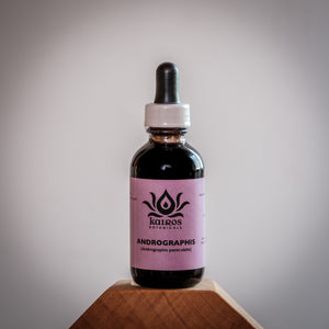 NEW! Tincture: Andrographis (Andrographis paniculata) - 50ml