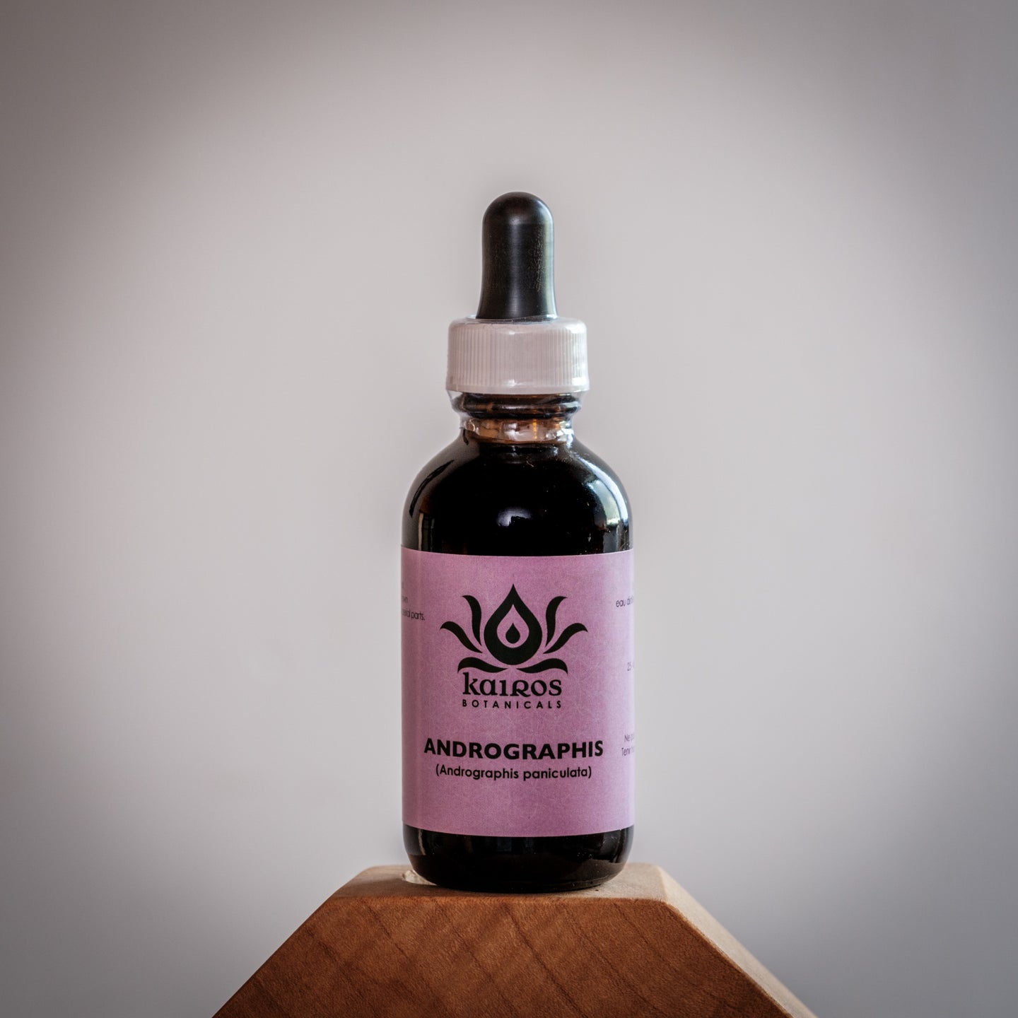 NEW! Tincture: Andrographis (Andrographis paniculata) - 50ml
