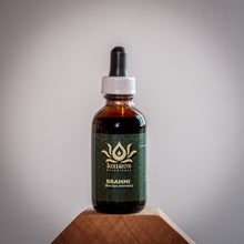 Load image into Gallery viewer, Tincture: Brahmi (Bacopa monnieri) - 50ml
