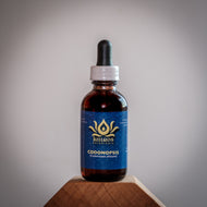 Tincture: Codonopsis (Codonopsis pilosula Campanulaceae) - 50ml