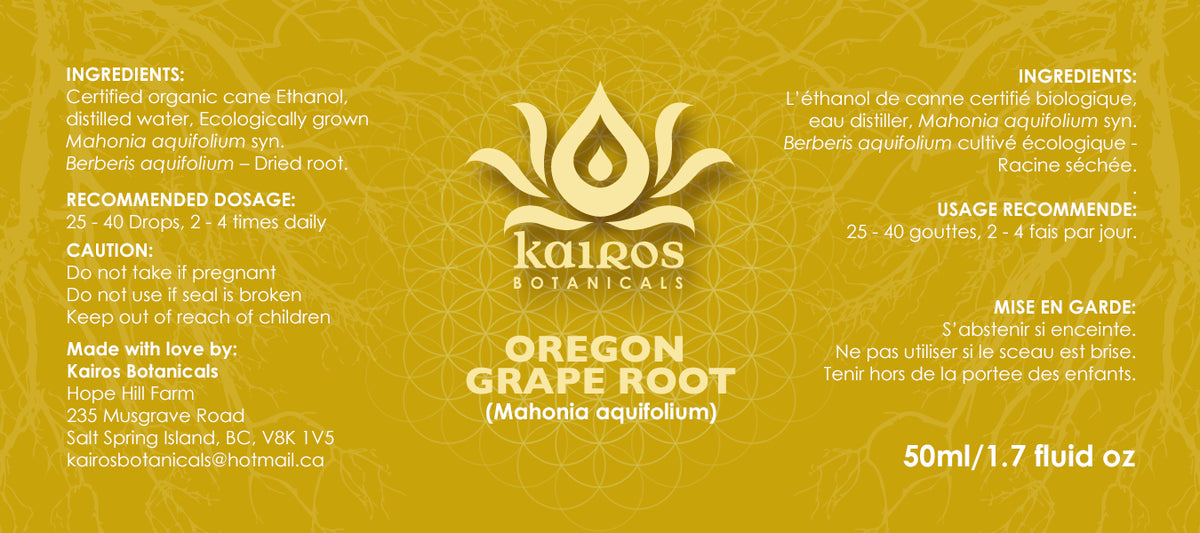 NEW! Tincture: Oregon Grape Root (Mahonia aquifolium) - 50ml