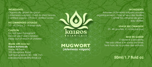 Tincture: Mugwort (Artemisia vulgaris  Compositae) - 50ml