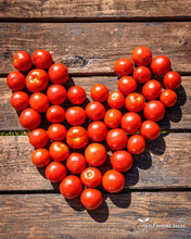 Load image into Gallery viewer, Graham's Good Keeper Tomato Seeds
