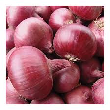 Onion - Rossa di Milano