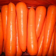 Nantes Carrot Seeds