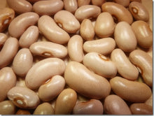 Load image into Gallery viewer, Tanya's Pink Pod Bush Snap Bean Seeds
