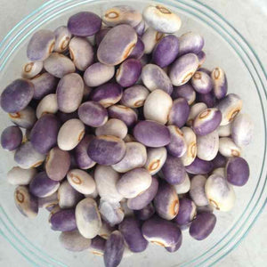 Blooming Prairie Bean