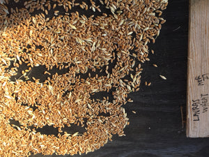 Brazilian Lavras Heirloom Wheat Seed - Non-GMO, Salt Spring