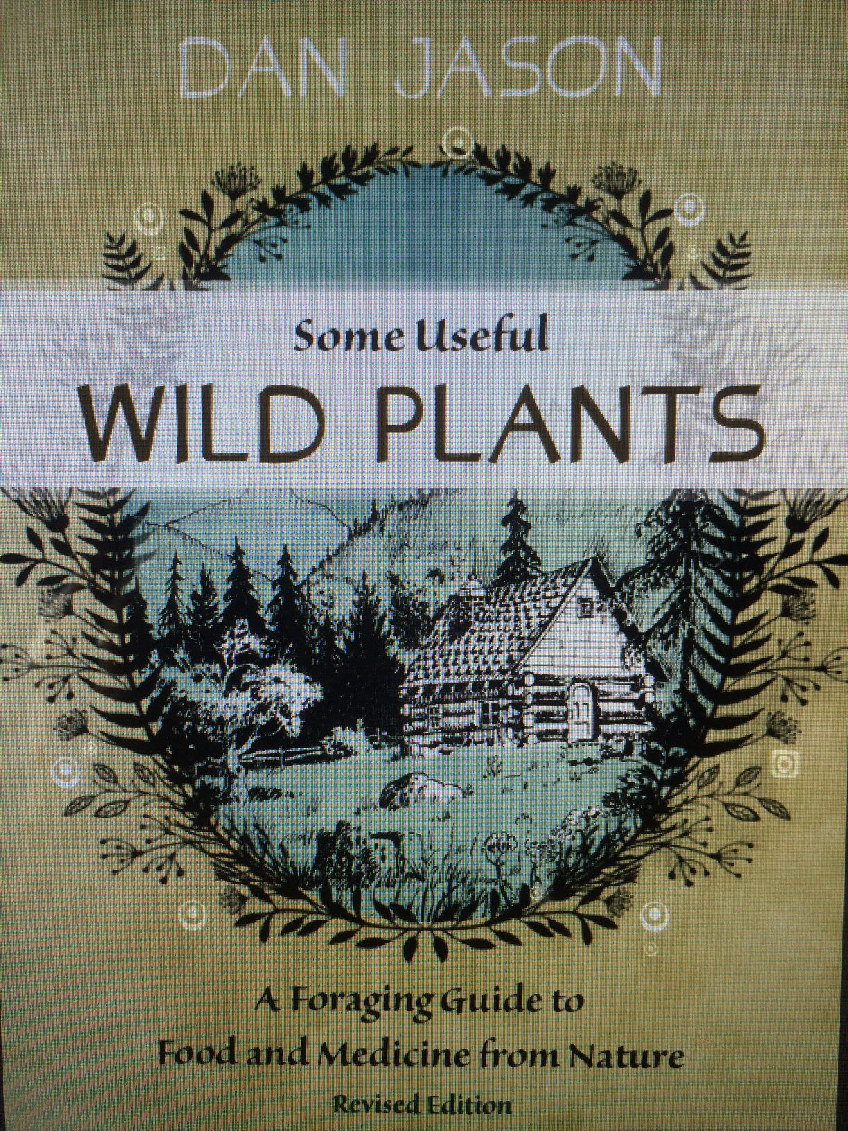 Some Useful Wild Plants by Dan Jason