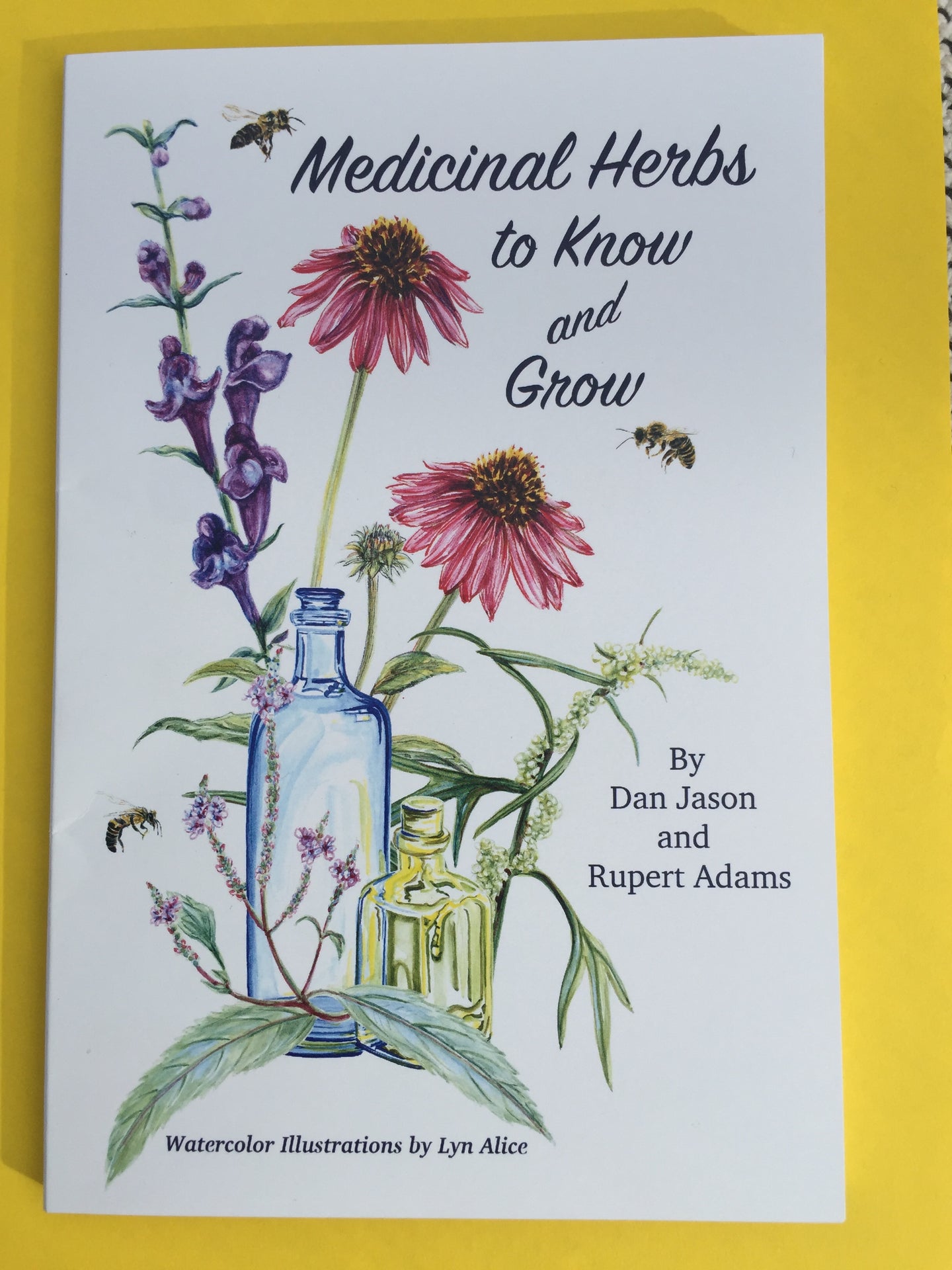 Medicinal Herbs to Know and Grow